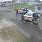 En las imágenes se ve que los delincuentes abordan el vehículo fuertemente armados