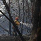 Incendios forestales han generado preocupación en Quito.