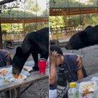 En el metraje nunca se observó al oso tocando a las personas, sin embargo, si los olfateó.