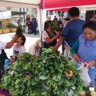 Mujeres rurales tendrán una conversatorio en Cuenca.