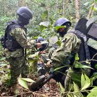 Los militares hicieron un decomiso en la frontera norte de Ecuador.