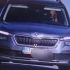 Las imágenes de seguridad captaron al animal conduciendo como si lo hiciera habitualmente.