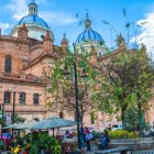 Ciudad. Mercado de las flores en Cuenca