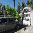 La mujer tenía más de 10 plantas de marihuana de unos 2 metros de alto.