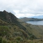 La búsqueda fue suspendida por temas administrativos.