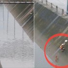 Momento exacto donde se rescató al perro en Mucho Lote 1.