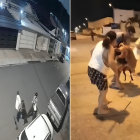 Captura de los dos incidentes que involucraron ataques de perros.