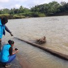 Hay alerta en Quinindé por manchas en el río Blanco.