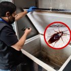El lugar fue clausurado luego de constatar la presencia de cucarachas en varios espacios de almacenamiento de alimentos