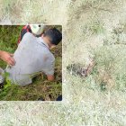 El herido fue atendido en el lugar.