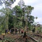 Habitantes de la comunidad de Tiwino ayudaron a construir un helipuerto improvisado.