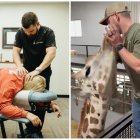 Joren Whitley es este profesional de la salud estadounidense que recientemente atendió a Jerry, una jirafa que sufría de un problema mandibular que le impedía masticar correctamente.