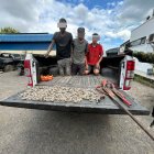 Los detenidos desenterraron armas y sustancias catalogadas sujetas a fiscalización.