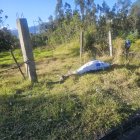 En esta zona no hay cámaras de seguridad y hay tramos en donde no hay alumbrado público.