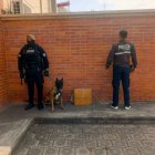 Policías y un perro antidrogas juntos a la caja donde se descubrió el alijo contaminado con cocaína.
