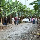 Uno de los casos se produjo en las inmediaciones de una finca, en el sector Bocatoma, perteneciente al cantón El Guabo.