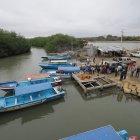 Imagen referencial. En Isla Puná hay miedo por GDO.