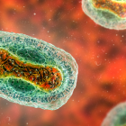 La viruela del mono ha desatado una emergencia internacional.