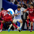 Jeremy Sarmiento entró de titular en Brighton en el partido ante Crawley Town