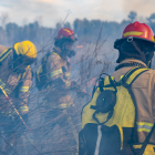 Referencial. Incendio forestal.