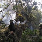Bomberos y militares usaron motosierras, machetes y palas para abrir trochas y trabajar.