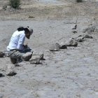 Vecinos y arqueólogos llegaron al sitio para ver la magnitud del daño ocasionado al bien patrimonial.