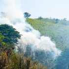 Incendios forestales se registraron en Esmeraldas.