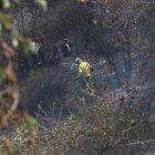 El caso más reciente se registró ayer en El Panecillo, en el centro de la ciudad.