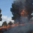 Incendio en sector Pansache