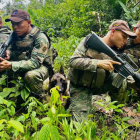 Referencial: el Ejército ecuatoriano entregó a un mal elemento de sus filas a la justicia.