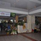 Los largos cortes del suministro eléctrico están generando complicaciones a los comerciantes.