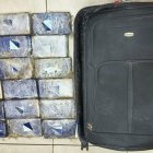 La sustancia fue detectada mediante un can, con un previo perfilamiento.