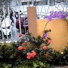 Una mujer fue secuestrada en Bellavista, en Guayaquil.