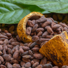 En Ecuador se realizan ferias donde se promueve la venta del cacao a nivel internacional.