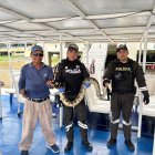 La serpiente medía más de dos metros de largo.