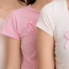 El cáncer de mama es el tipo de tumor más diagnosticado en mujeres a nivel mundial.