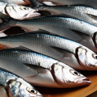 Este pescado, accesible y fácil de incorporar a la dieta, es un alimento completo que no solo mejora la salud cardiovascular, sino también combate problemas digestivos