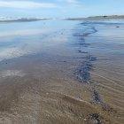 Las manchas de petróleo alcanzaron la playa Las Palmas en Esmeraldas.