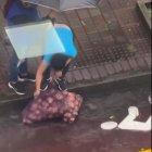 El clip circula en redes sociales. Se puede ver cómo lavan las papas en el asfalto.