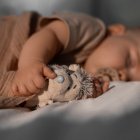 La clave de la memoria infantil podría estar en el hipocampo y su evolución temprana.