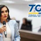 El fallo del TCE se produce en medio de la disputa política entre Abad y el presidente Noboa.