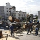 Un árbol de 20 metros se cayó en Quito. Realizan trabajos para retirarlo.