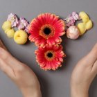 Los consejos sobre la menopausia son dados por especialistas.