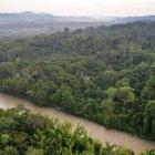 Los bosques amazónicos y los residuos urbanos, entre los focos de atención ambiental en Ecuador.