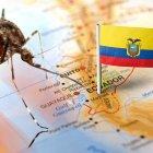 Confirman caso aislado de fiebre amarilla en Ecuador; autoridades activan protocolos de vigilancia y control.