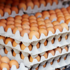 Aunque los huevos son ricos en nutrientes, su consumo debe ser controlado, especialmente en personas con ciertas condiciones de salud.