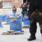 REFERENCIA. Los bloques habrían sido sustraídos de las bodegas de la Unidad Canina de la Zona 8.