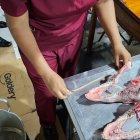 Ministerio de Ambiente confirmó que los cráneos no eran de perro, sino de chancho.