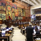 Contratos eléctricos no se abordaron en la Asamblea: oficialismo no puso los votos.