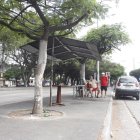 En este parterre de Sauces 5, en Guayaquil, ocurrió el asesinato.